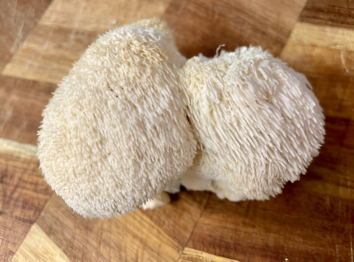 lions mane supplement UK sitting on wooden chopping board