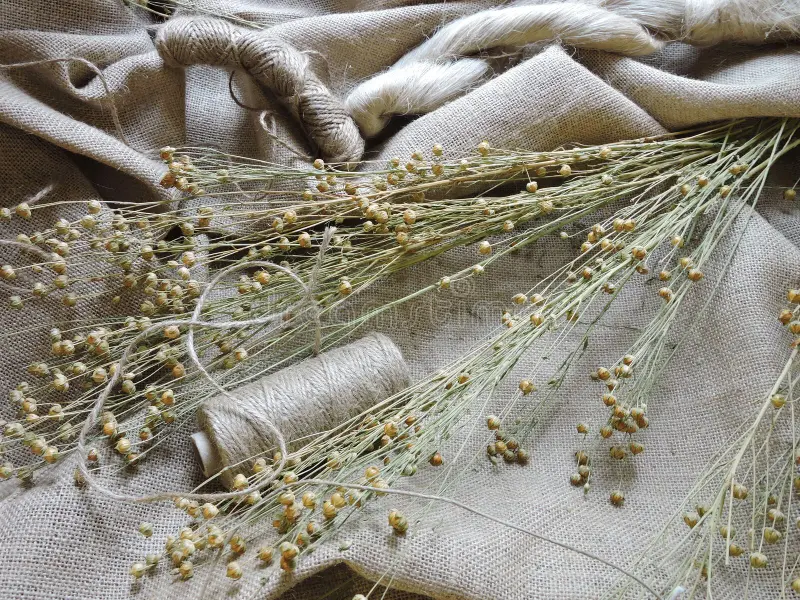 Linen Made of Inner bast fibers of the flax plant