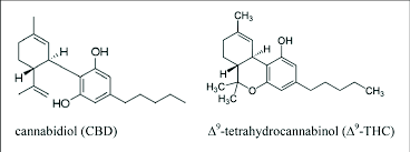 CBD and THC chemical structure