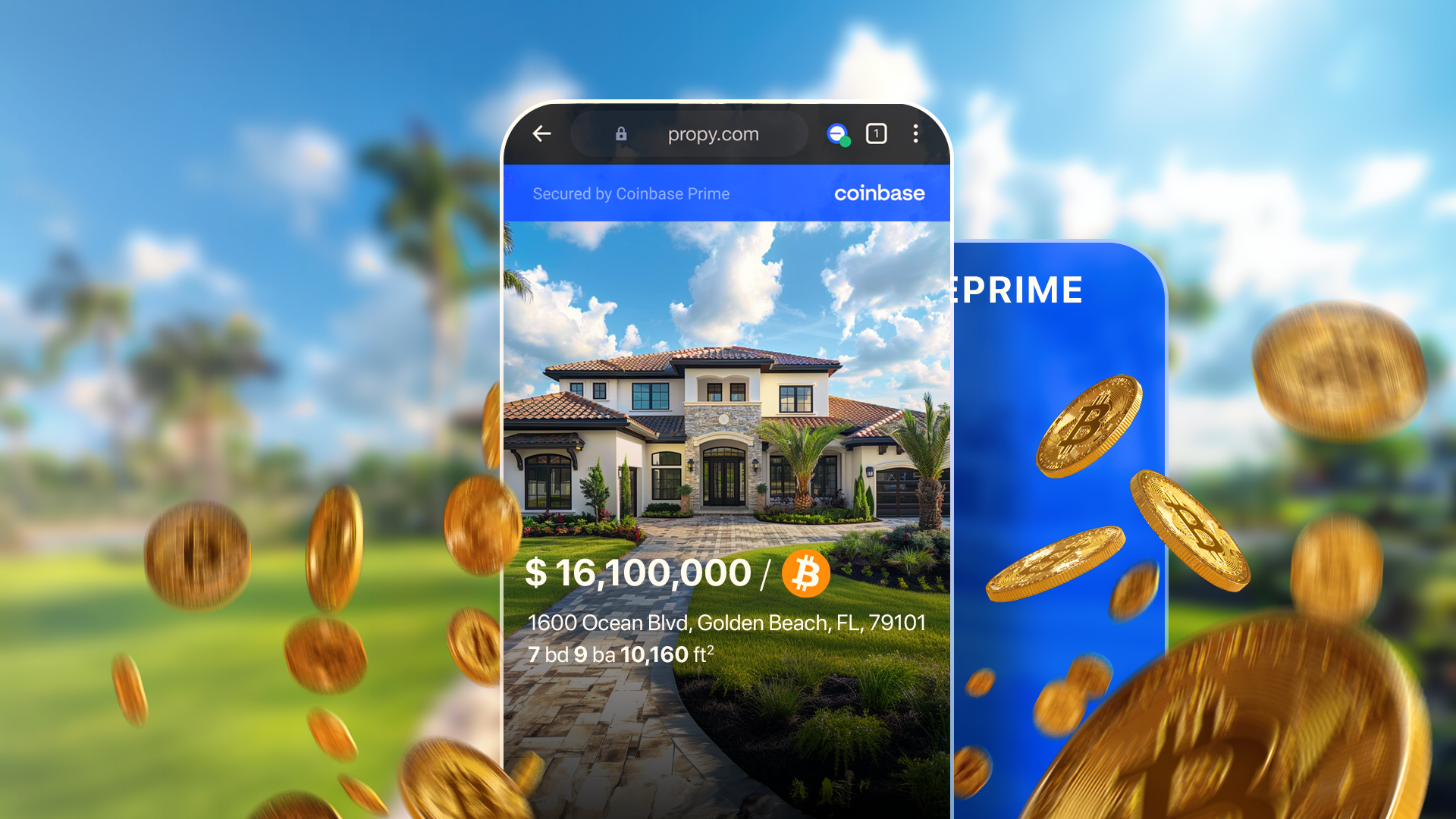 An illustration aligning your decision to invest in either crypto or Real Estate.