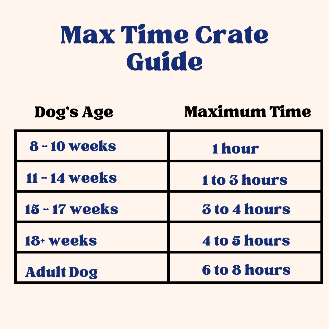 Everything you need to know about how long you can leave your dog in a
