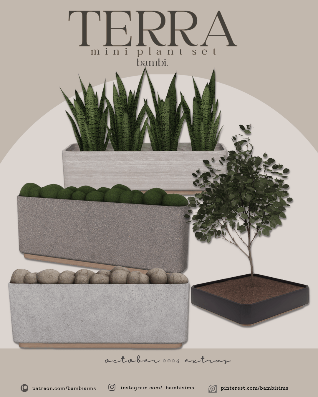Terra Miniplant Set