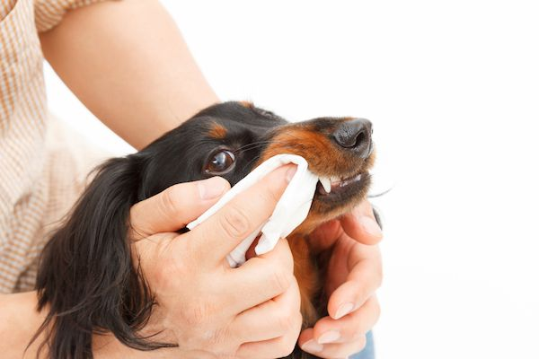 spend brushing, remove plaque, finger brushes