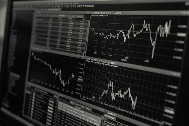 Car Rental Market Data Analysis