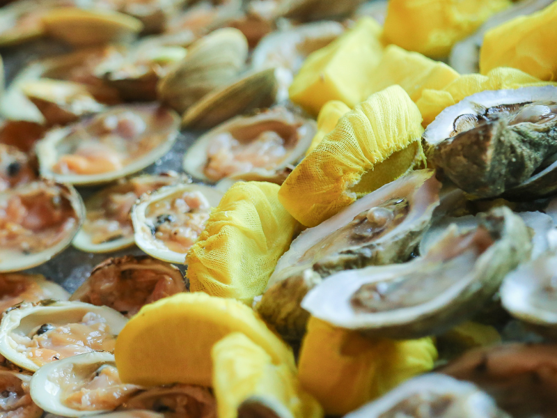 Image of clams and oysters together on a table.