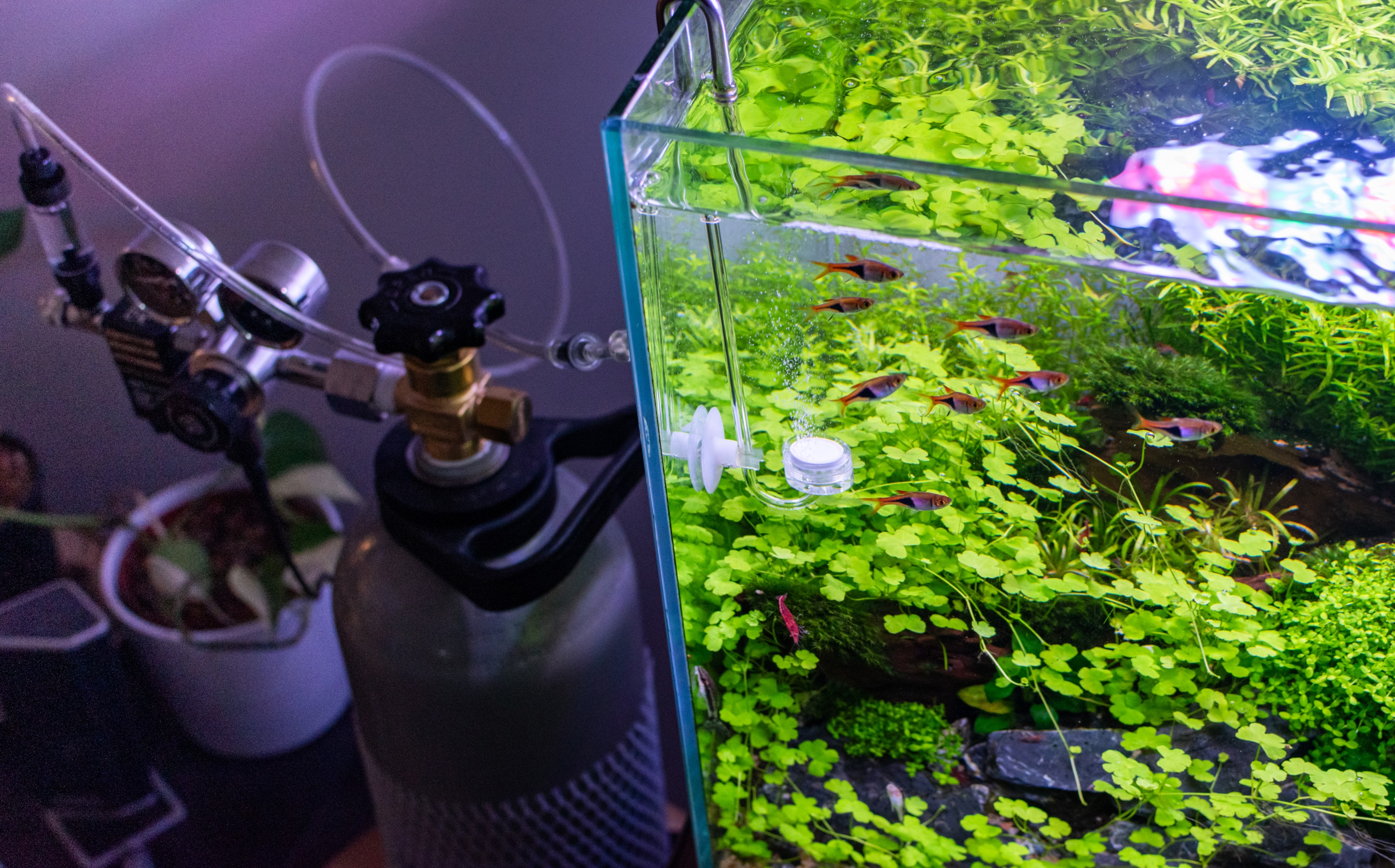 CO2 injection plays a big role