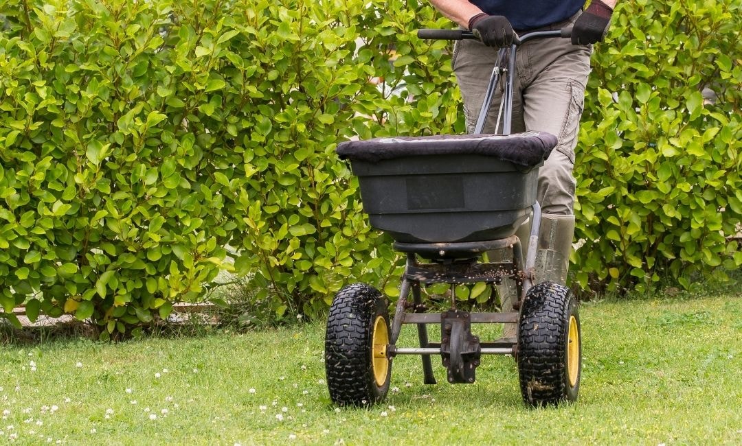 control weeds