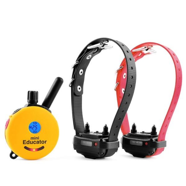E-Collar Technologies ET-302 Two Dog Mini Educator with Remote Dog Trainer