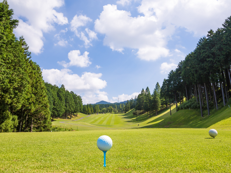 Picture of golf courses in that have benefited from a tree service company.