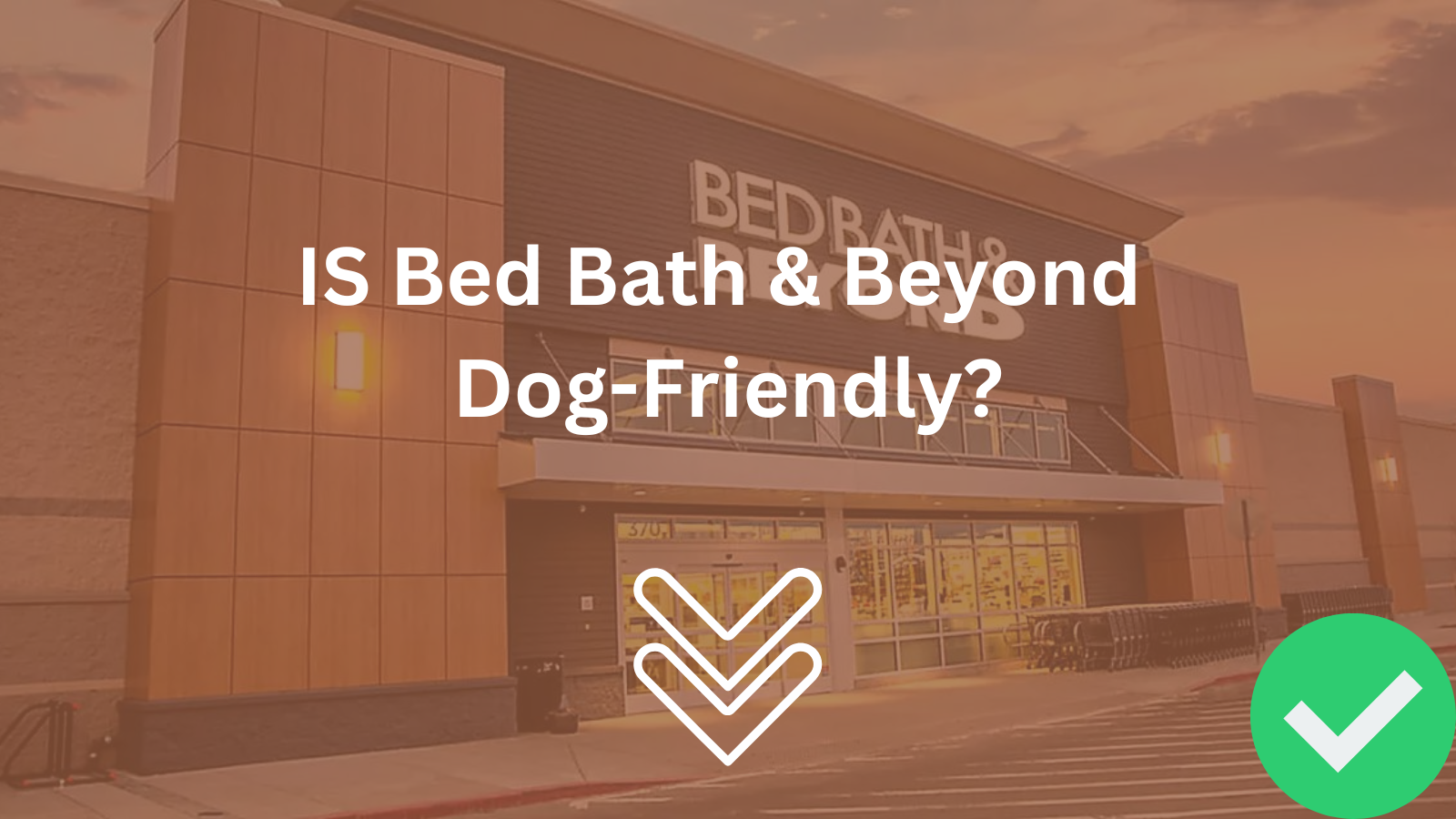 Image Text: "Is Bed Bath & Beyond Dog-Friendly?"