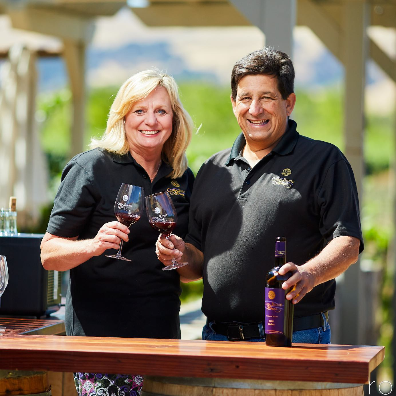 Couple clinking wine glasses