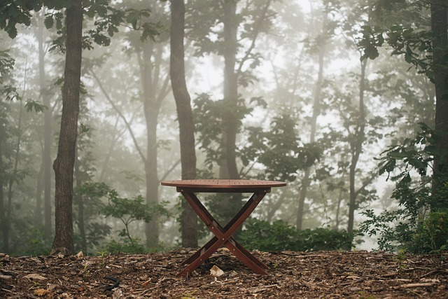 bench, table, outdoor