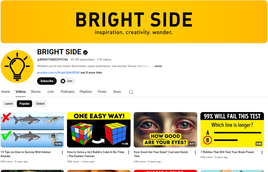 BRIGHT SIDE YouTube channel.