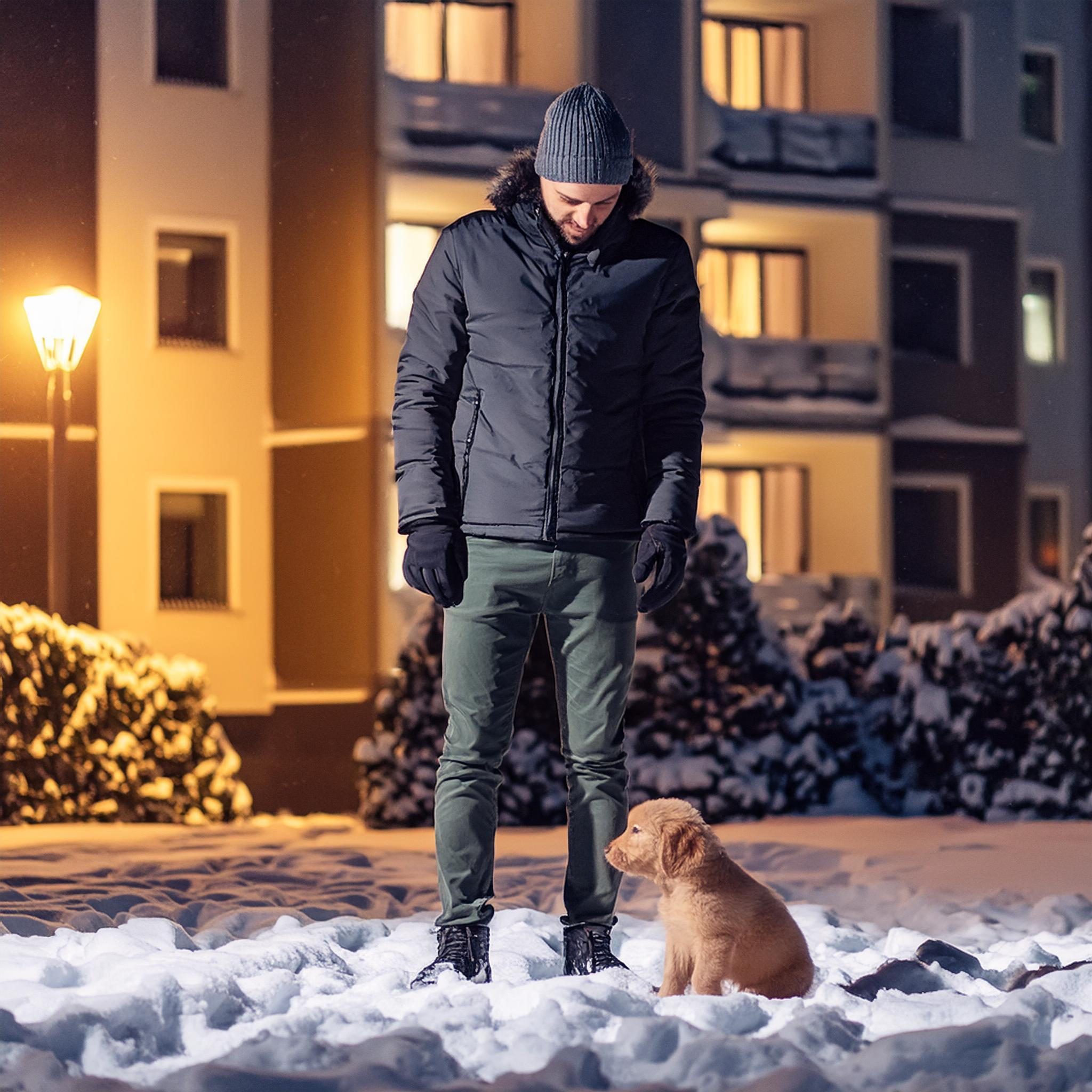 It is best to potty train your dog to go potty on a leash outside. It's even better if they go potty in the same place each time.