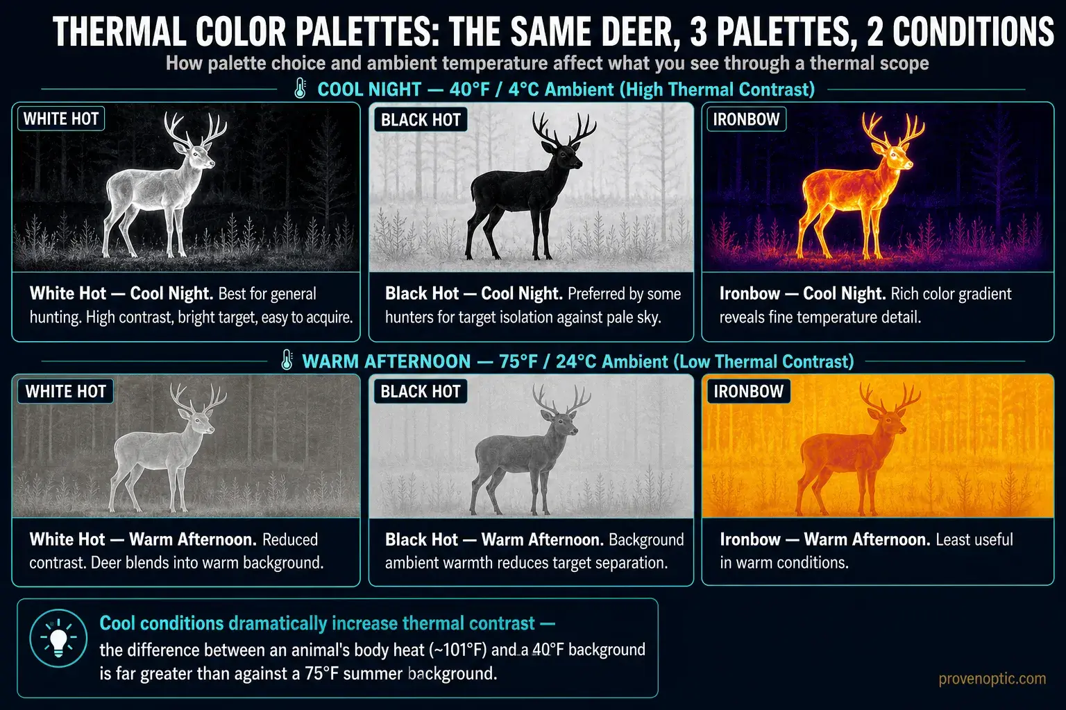 An infographic that shows the thermal palette contract of a deer depending on ambient temperatures