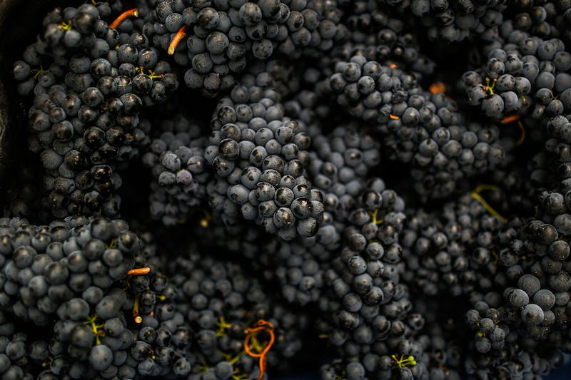 homemade wine, grape clusters