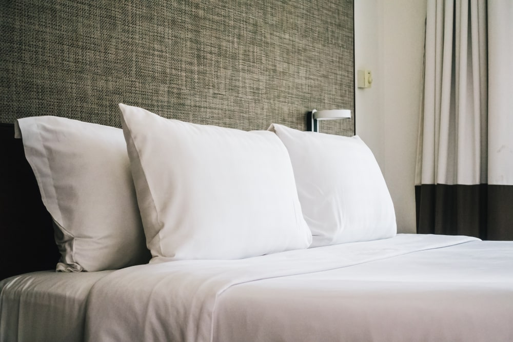 Cracking the code detecting bed bugs in hotel rooms