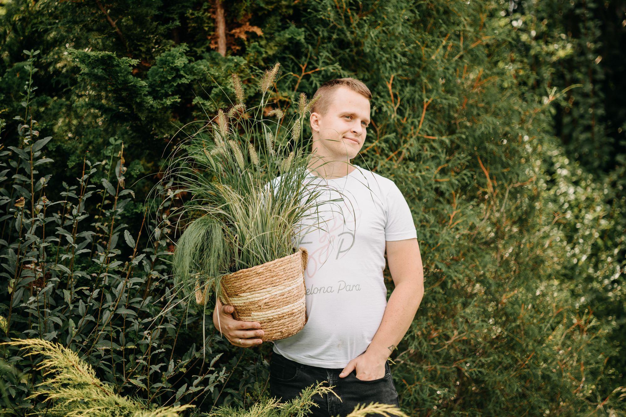 Trawy ozdobne zimą w ogrodzie
