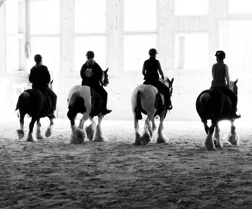 Four riders on a Gypsy horse competition