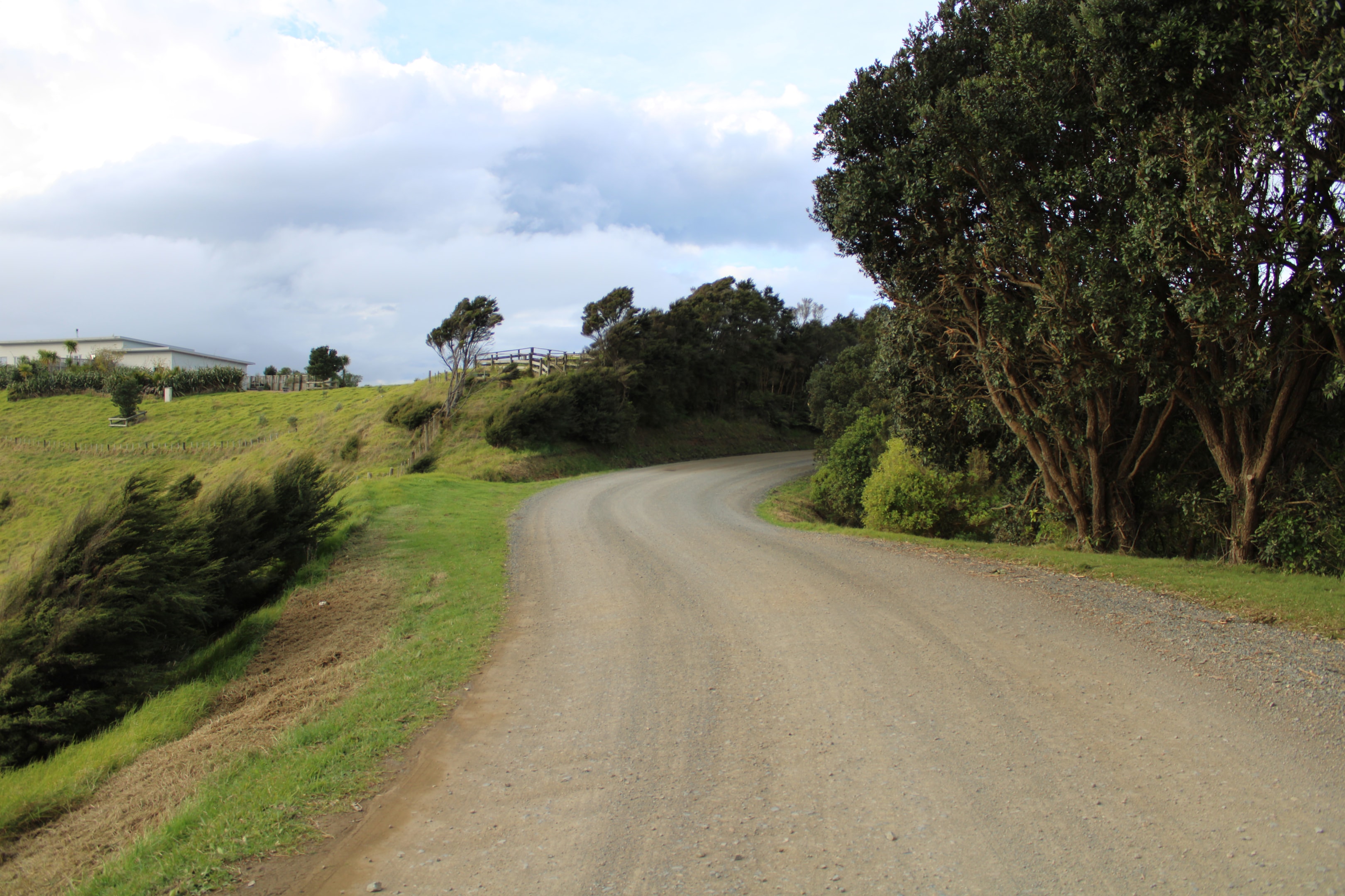 Gravel Road to Poderi Crisci winds through scenic countryside to this hidden gem at the end of Awaawaroa Road