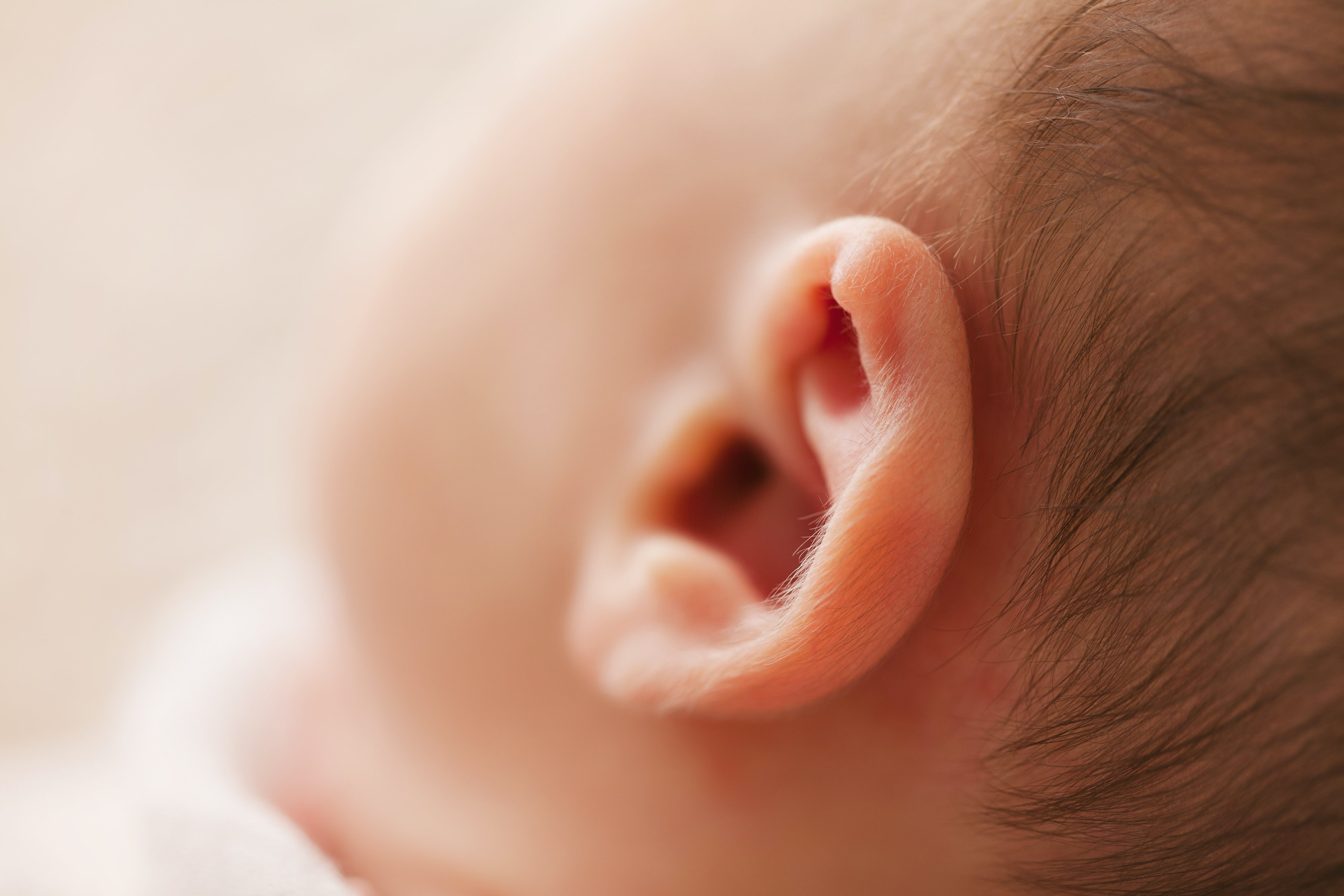 Baby's ears.  