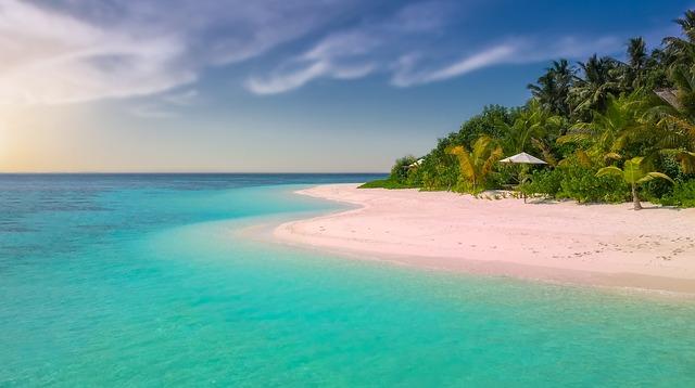 beach, paradise, island, palm trees, ocean, romantic, sunset, seascape, sea, summer, bathing, holiday, sandy beach, nature, vacations