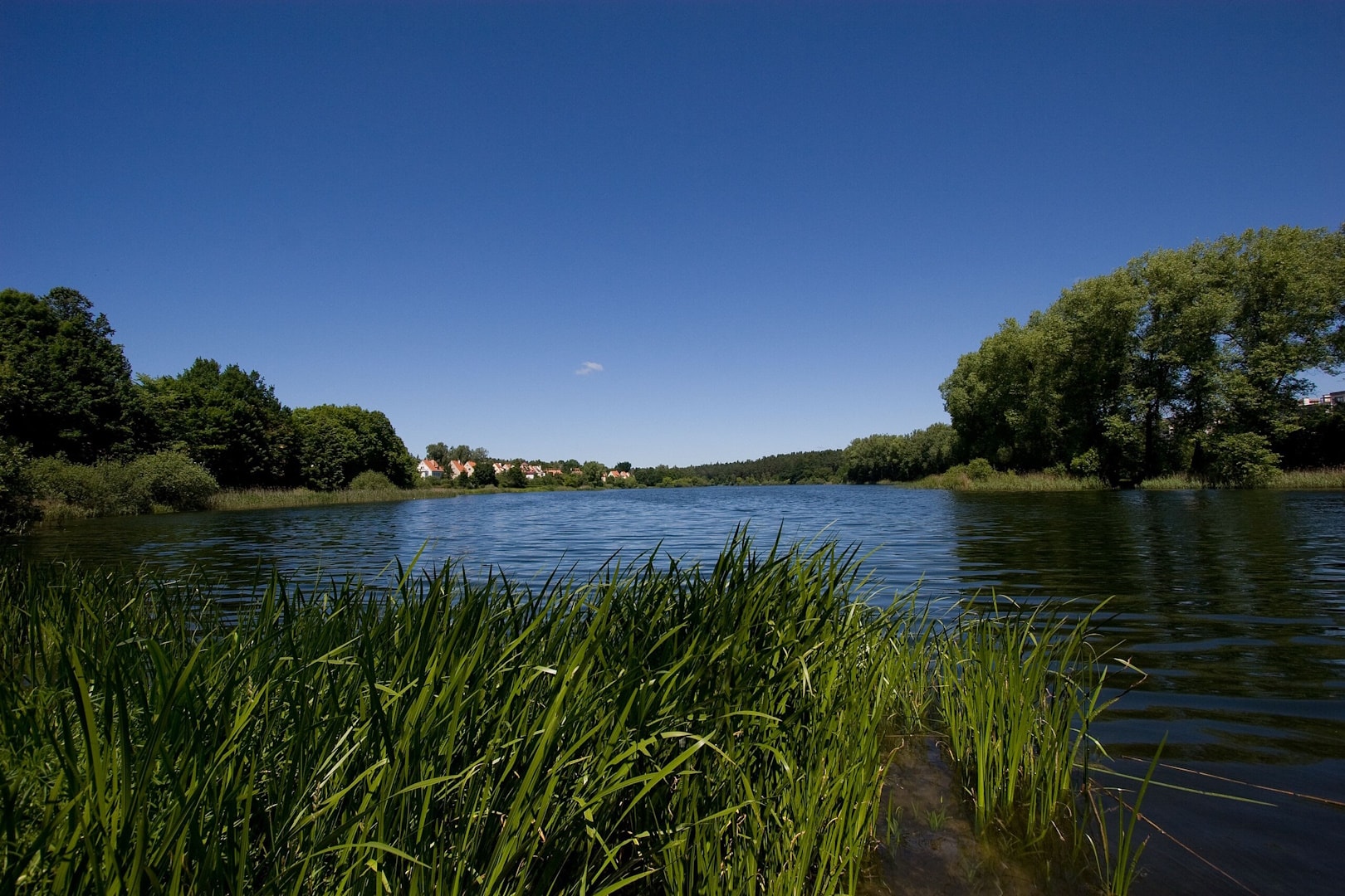 Jezioro Długie w okolicy Olsztyna mające plażę miejską i duży teren rekreacyjny. Otoczone bujną roślinnością wodną i drzewami. Źródło: https://commons.wikimedia.org/wiki/File:Olsztyn_Jezioro_Dlugie_KOS.jpg