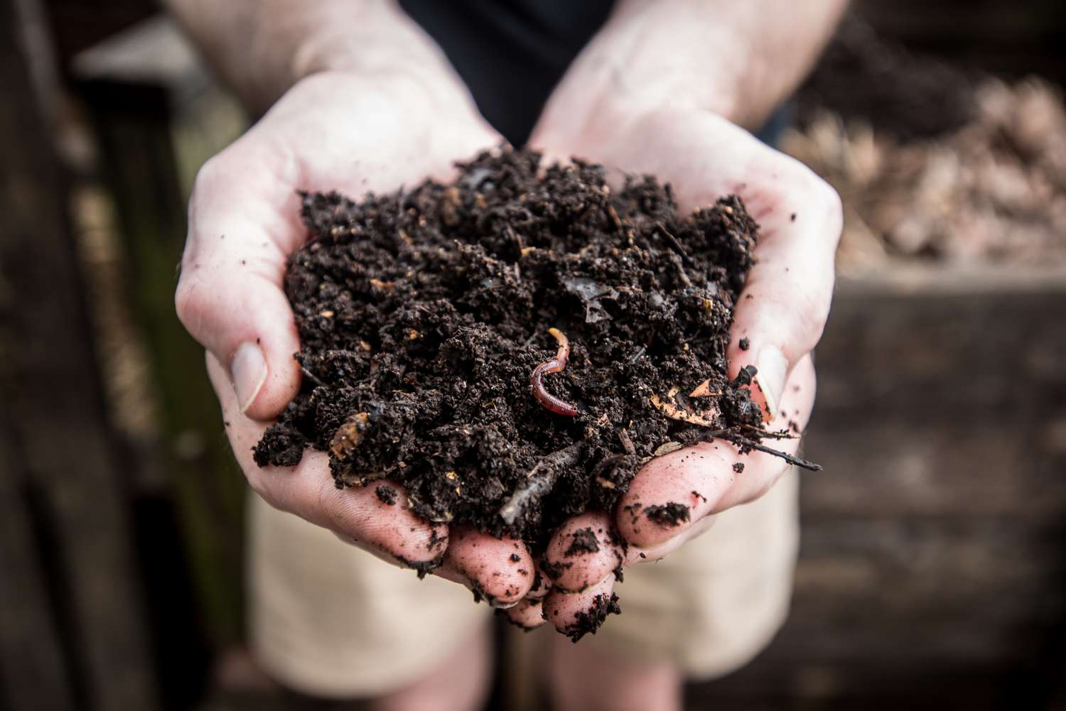 Frequently Asked Questions About Bagged Compost