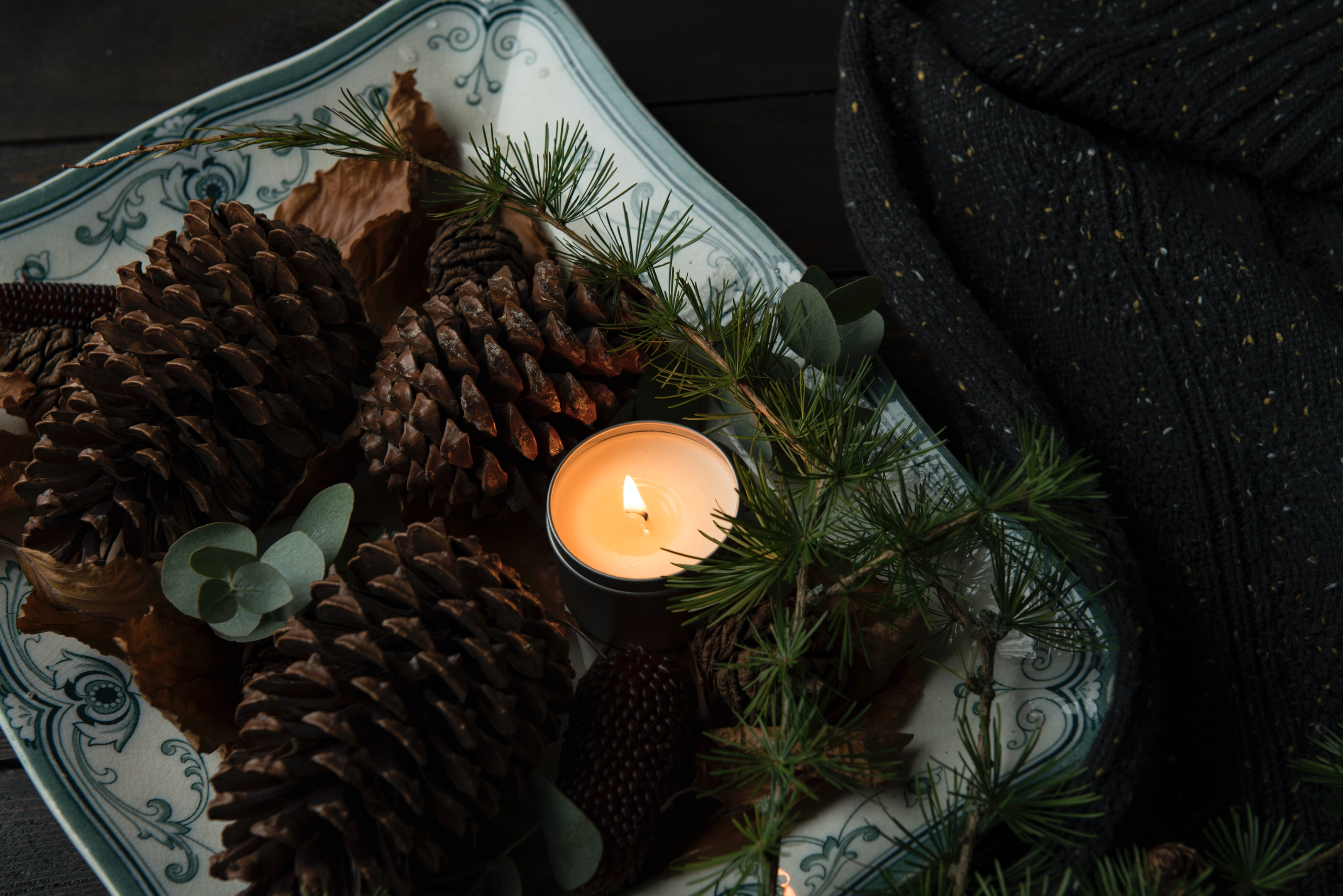 Find a new home to decorate this autumn with Nicol estate agents