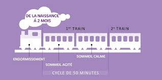 Comprendre les cycles du sommeil de votre bébé - mpedia.fr