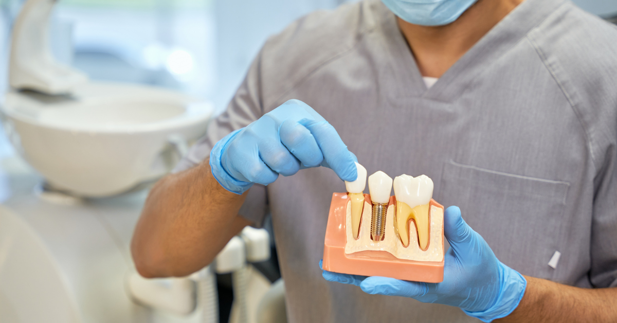 A dentist holding a 3D model visual aid of someone's jaw.