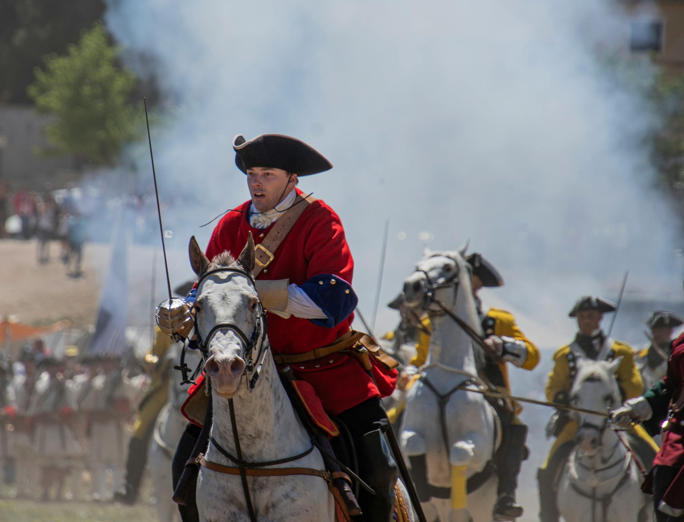 Horse in civil war renactment.