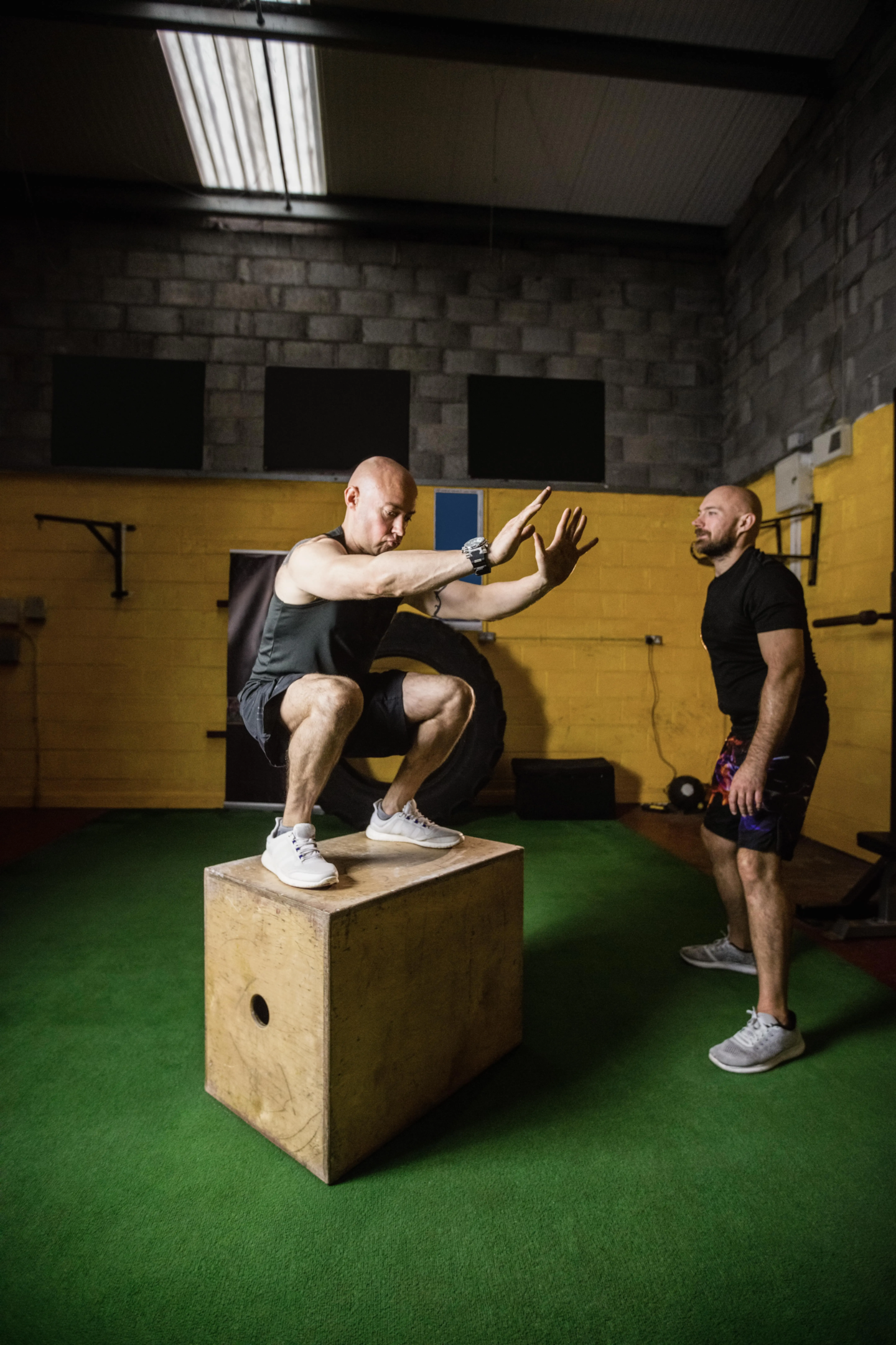 Boxers doing box jump