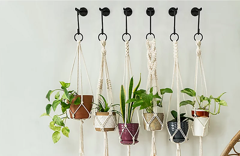 Essential Supplies for Hanging Plants