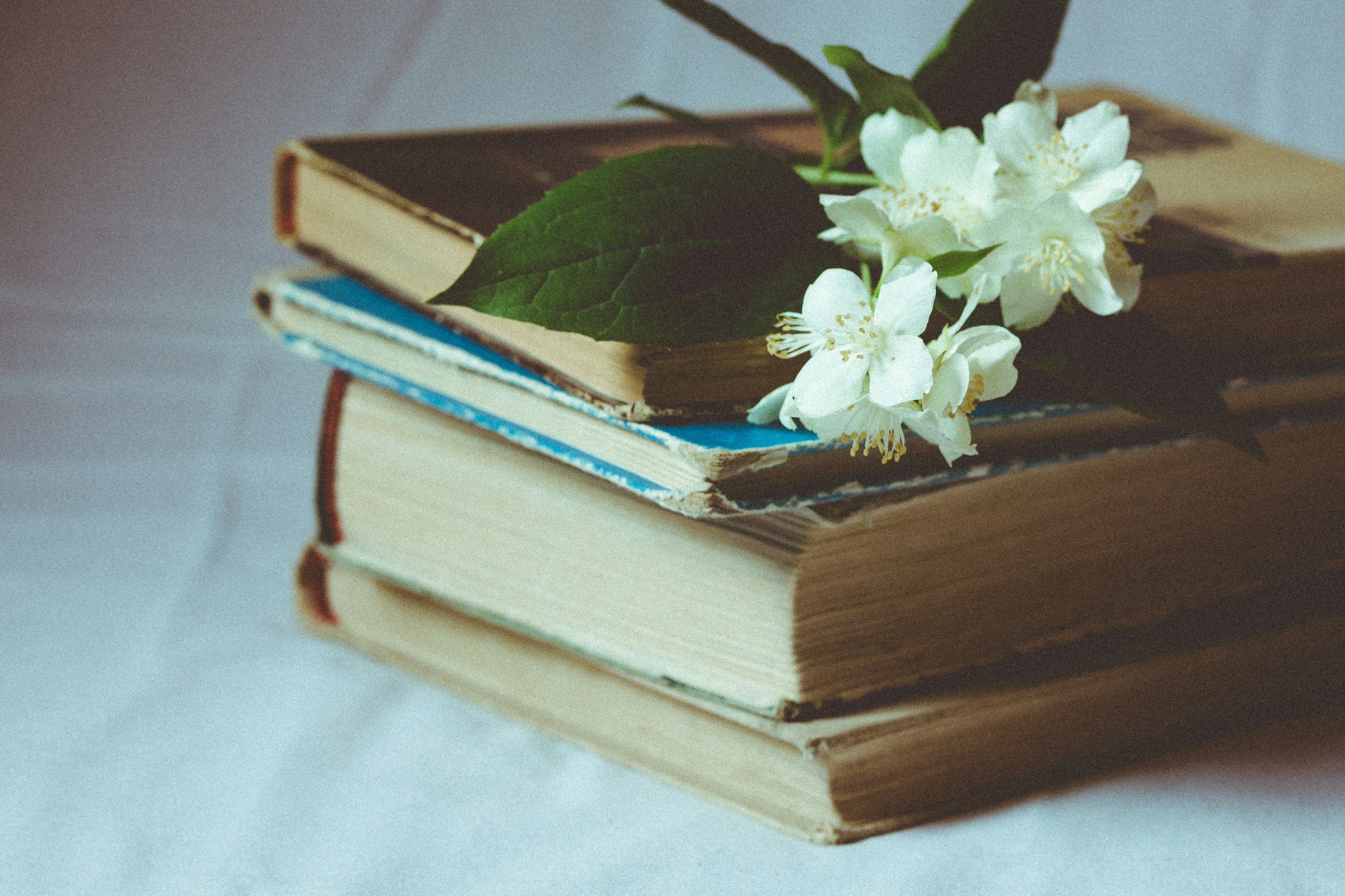 A collection of poetry books with a flower placed on top.