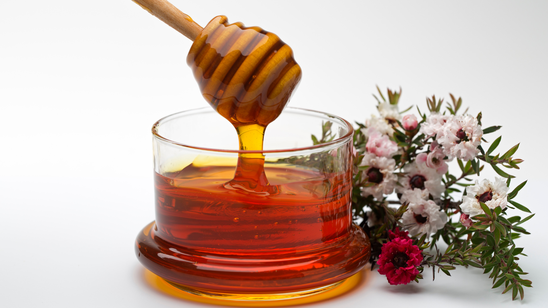 Manuka Pferd