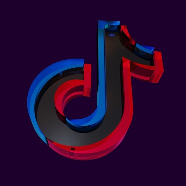 tiktok icon, tiktok, social media