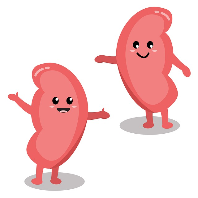 kidney, health, smile
