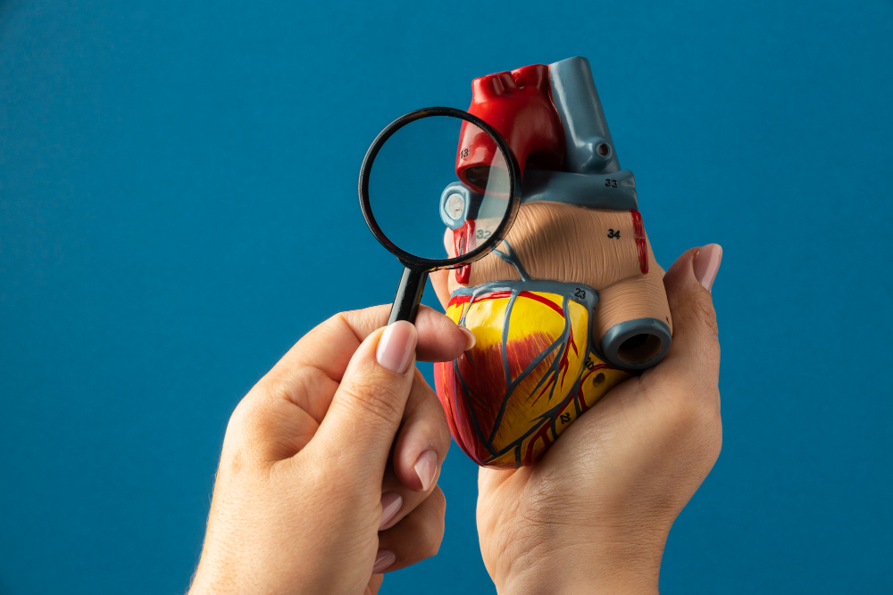 A ingestão de omega 3 ajuda a reduzir o risco de doenças cardiovasculares. Fonte da imagem: Freepik.
