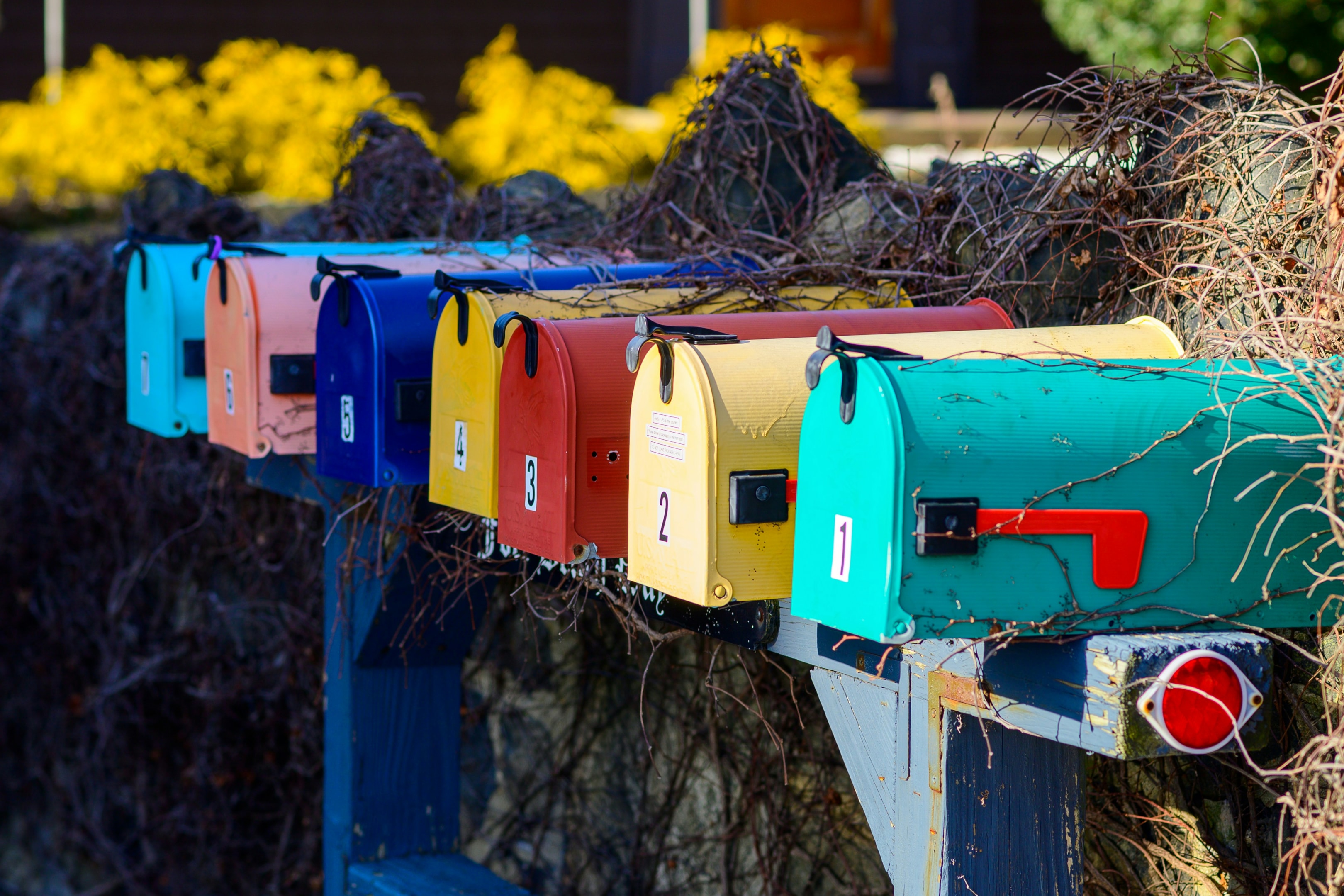 Line of mailboxes, some of which received mail from real estate campaign. 