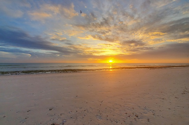 seascape, beach, sunset, Tampa, FL beaches, Tampa, FL real estate market, waterfront location, best neighborhood for beach access Tampa, Harbour Island, Tampa, FL investment property