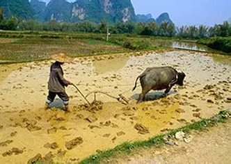 han people characters