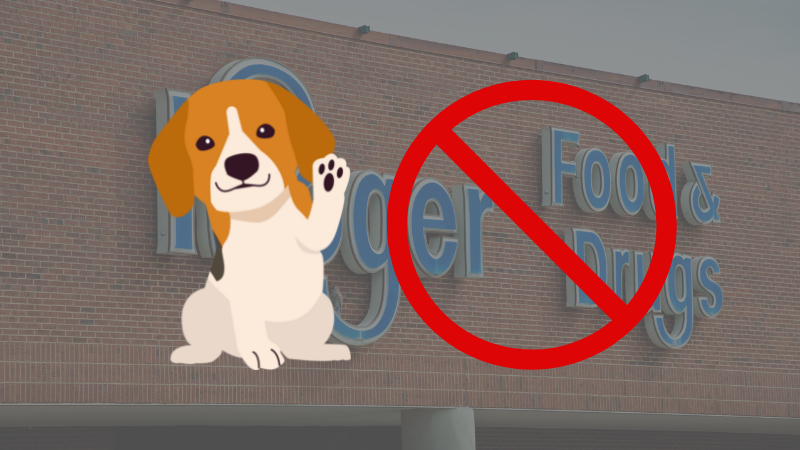 Kroger's policy is similar to Starbucks Dog Policy. No dogs are allowed inside the store unless performing trained day-to-day tasks.