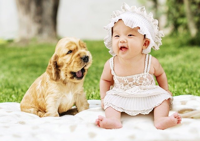 Baby sitting with puppy on blanket