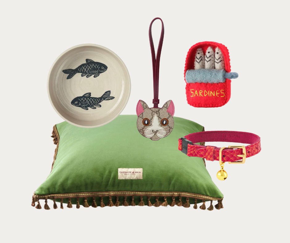 an assortment of gifts for cats