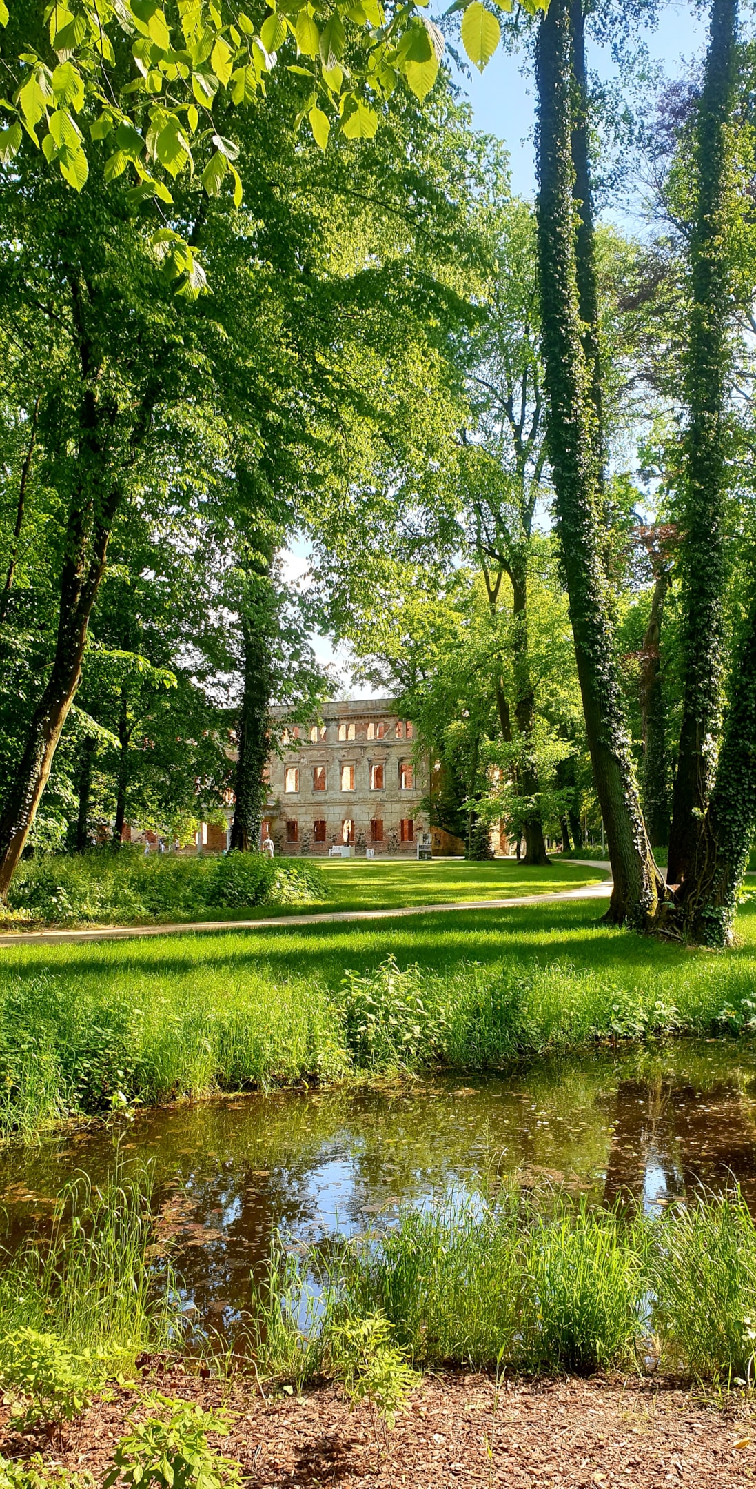 Park Książęcy Zatonie w Zielonej Górze (źródło: https://commons.wikimedia.org/wiki/File:Park_Ksi%C4%85%C5%BC%C4%99cy_Zatonie.jpg)