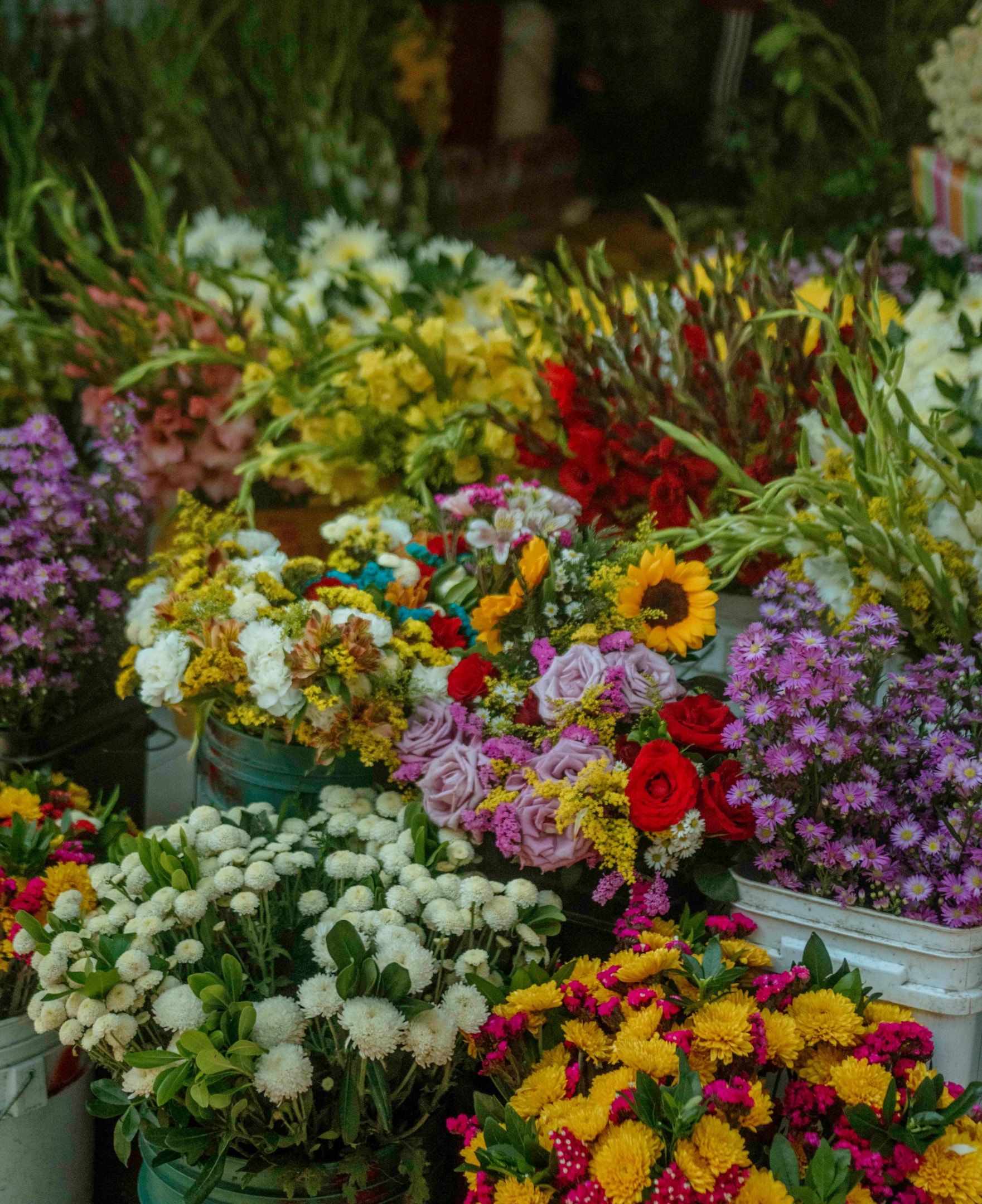 same day flower delivery, flower delivery, flower delivery services, day flower delivery, all your floral needs, beautiful flowers, order online