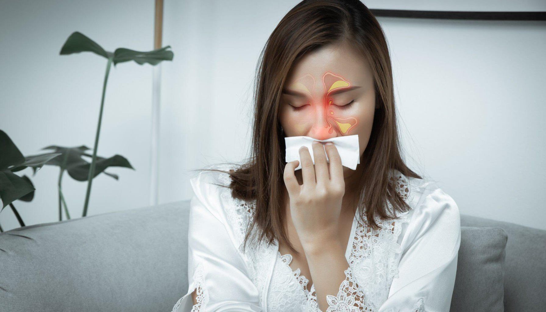 Smerter i hodet når du bøyer deg: tett forbindelse mellom bihuler og tannrøtter 11 Kvinne holder papirlommetørkle mot nesen, illustrasjon viser bihuler og mulig bihulebetennelse.