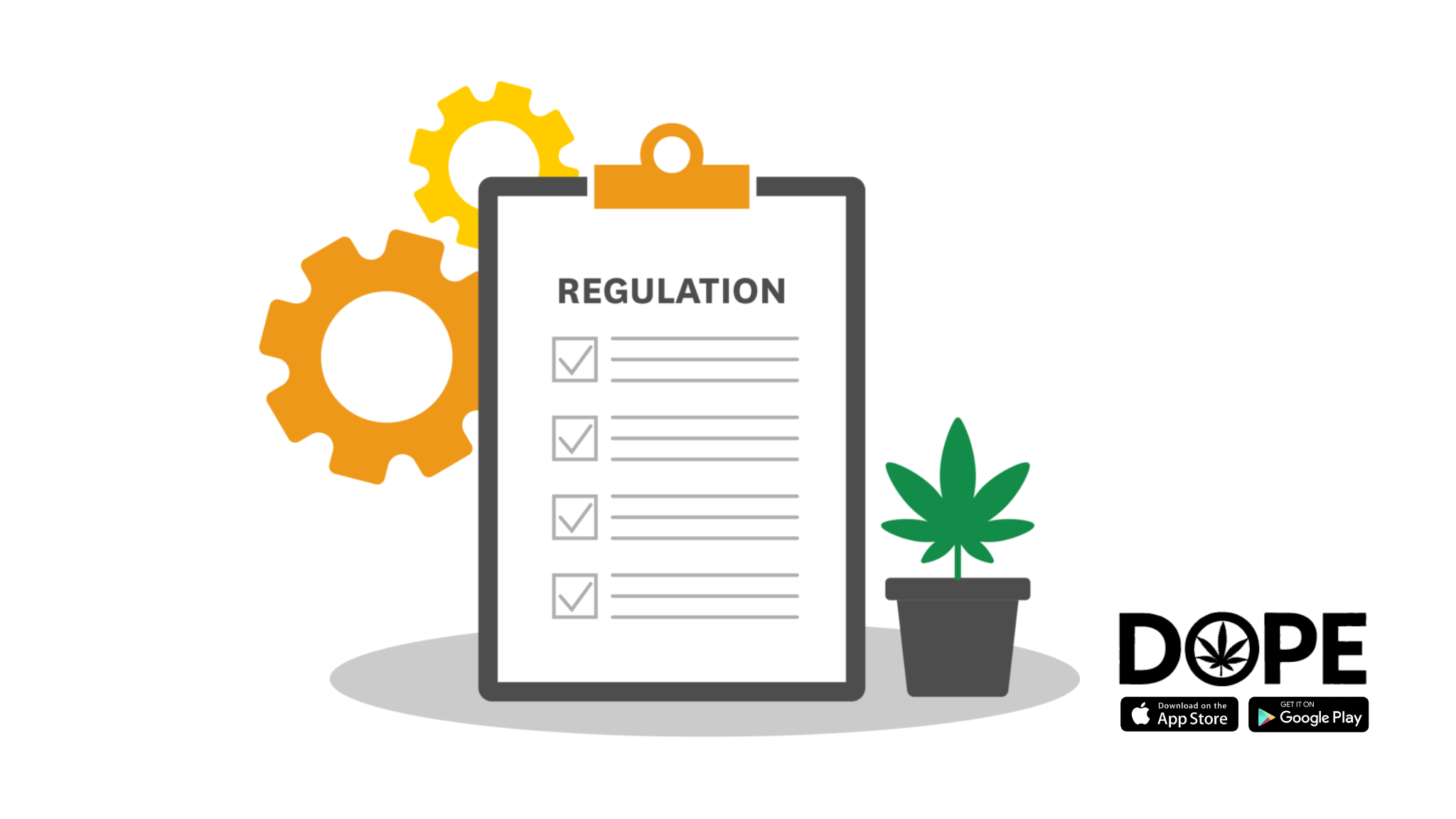 Access to legal cannabis products and navigating laws.