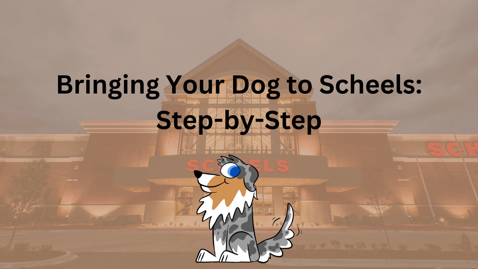 Image Text: "Bringing Your Dog to Scheels: Step-by-Step"